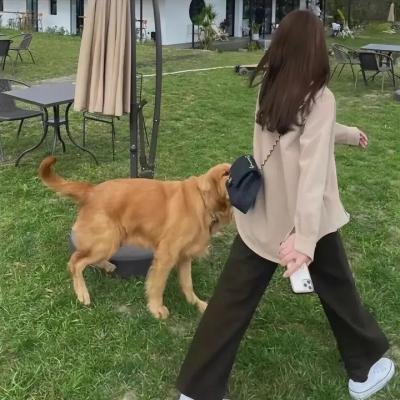 神医大人别撩我